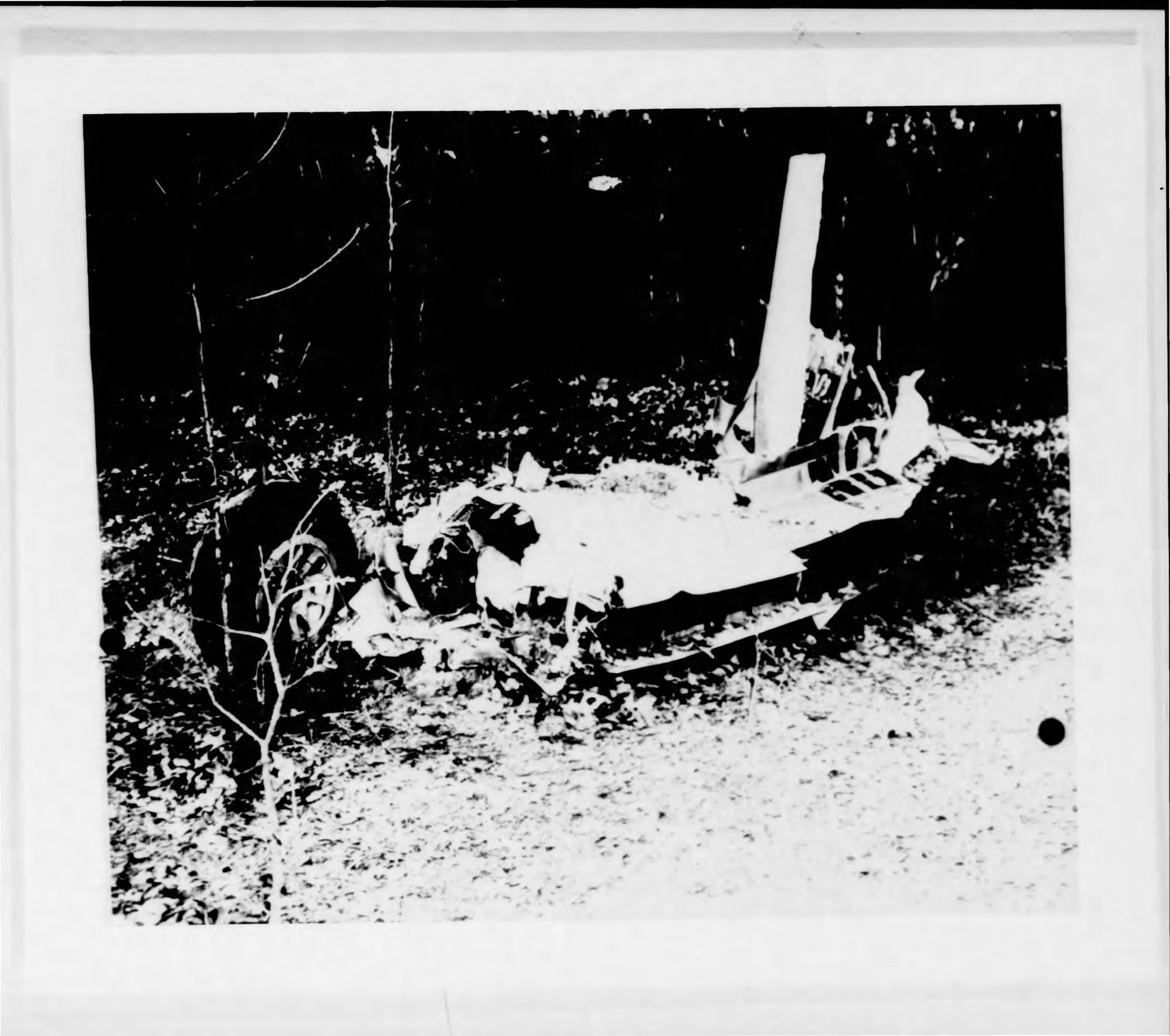 Photographie de l'épave du P-51 de Thomas Mantell près de Franklin dans le dossier de l'US Air Force