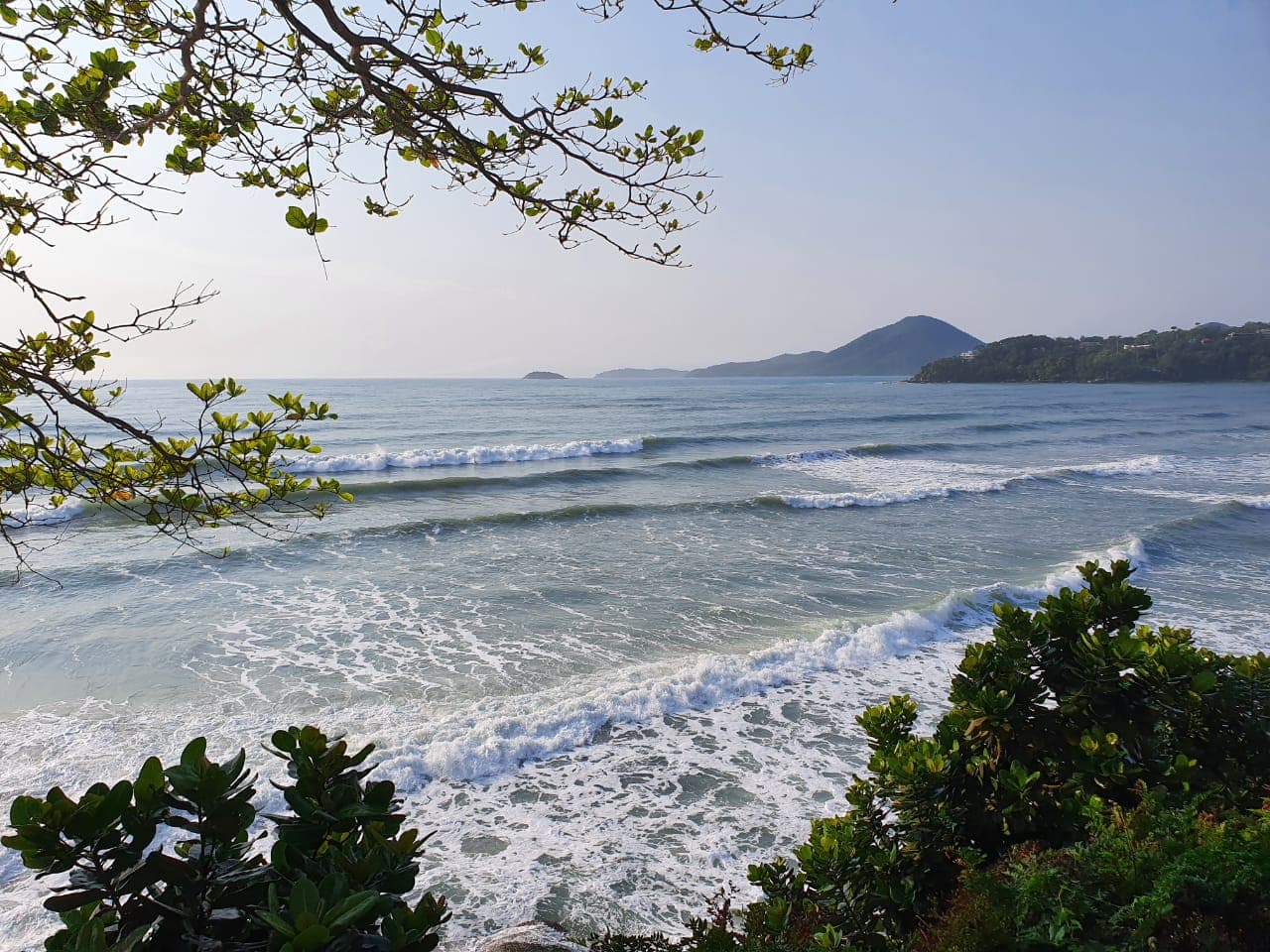 Waves, wooded headlands and coastal vegetation in a daylight Ubatuba beach photograph