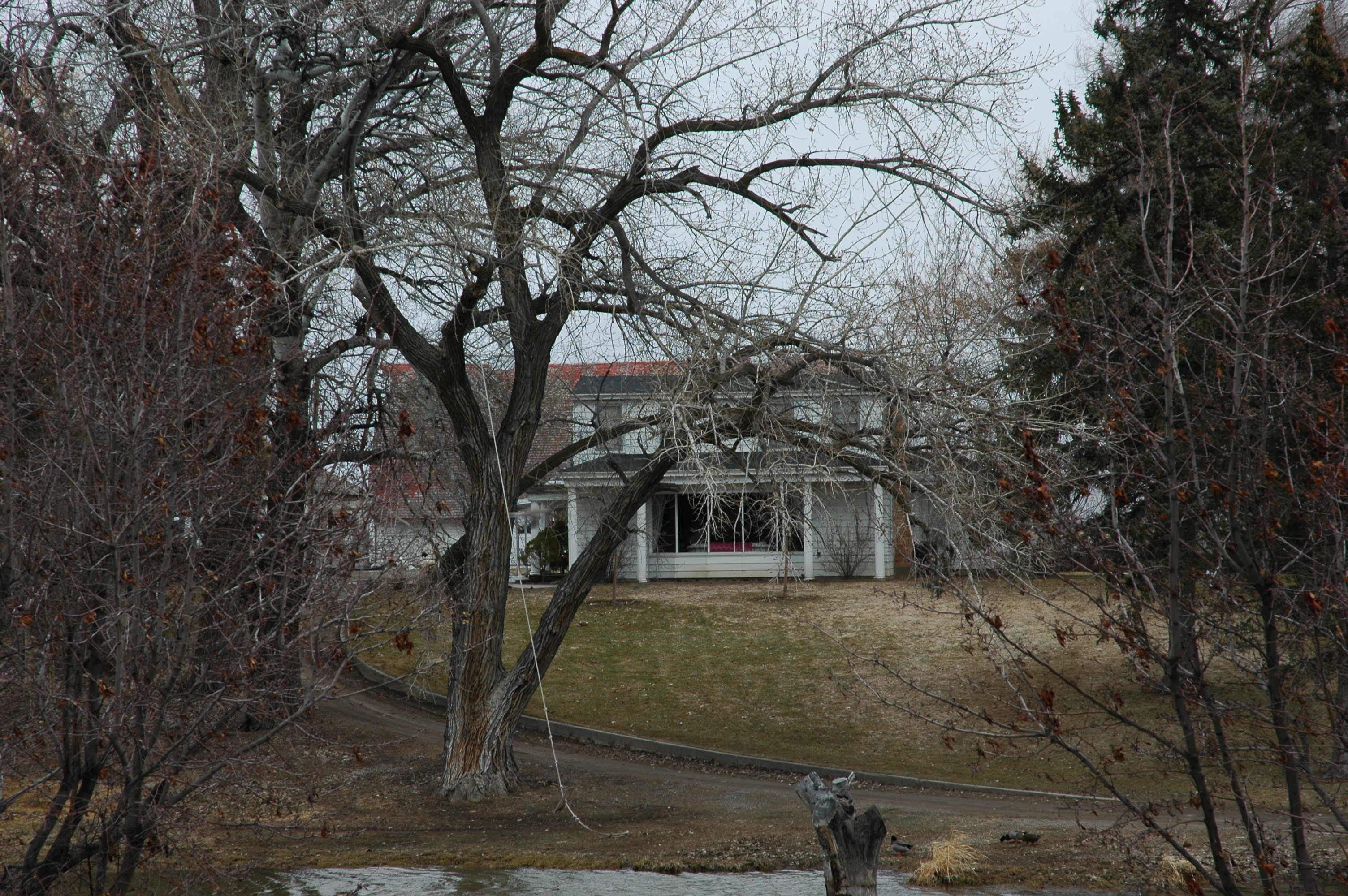 Historic Tremonton area farmstead used as geographic context for the Tremonton UFO film case